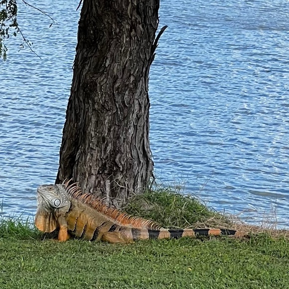 Meet your Posher, Betty - Picture 7 of 7